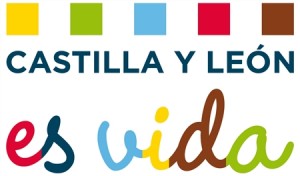Logo Castilla y León es vida medium